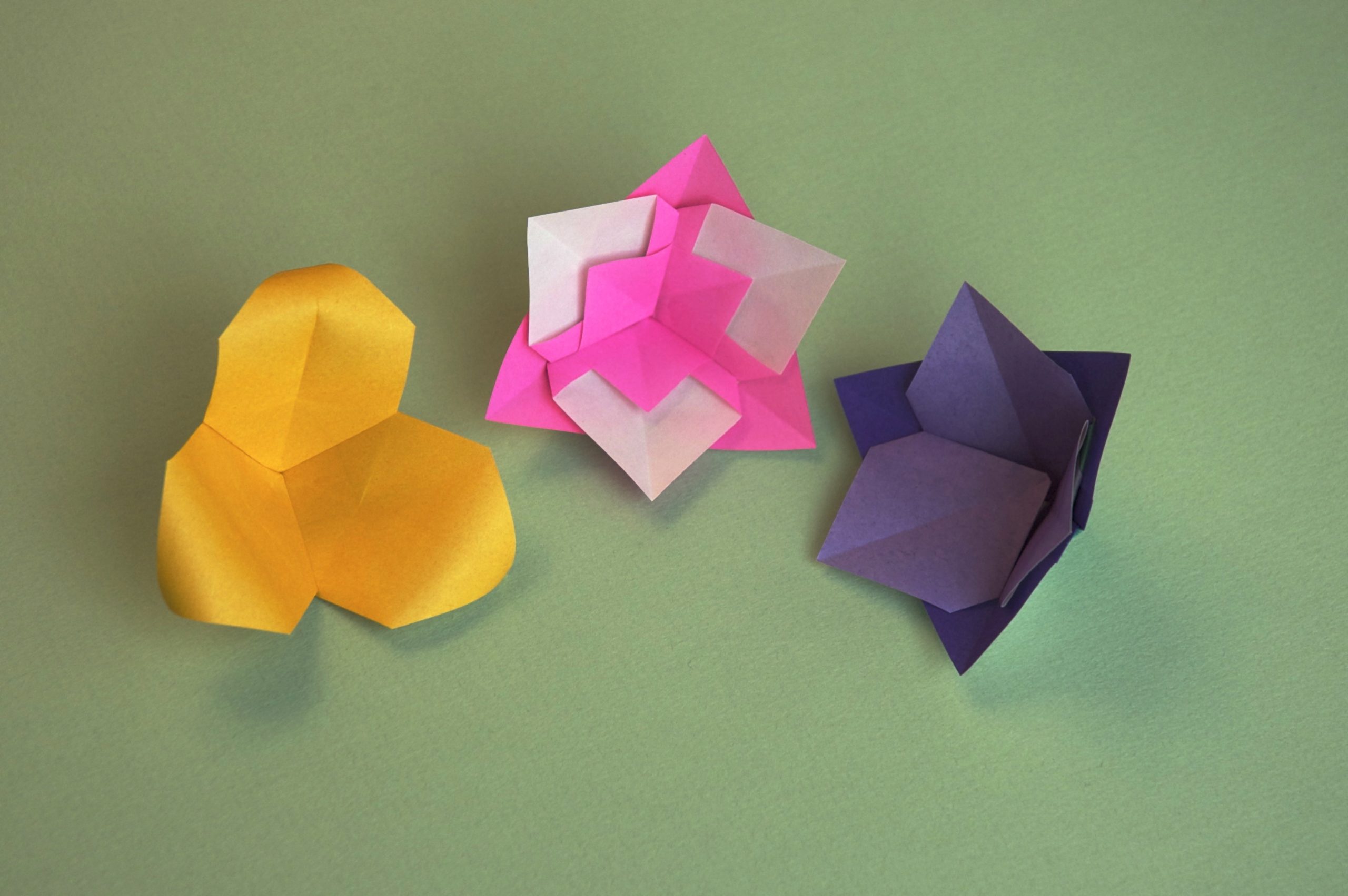 Intro Into Origami Flowers Kit