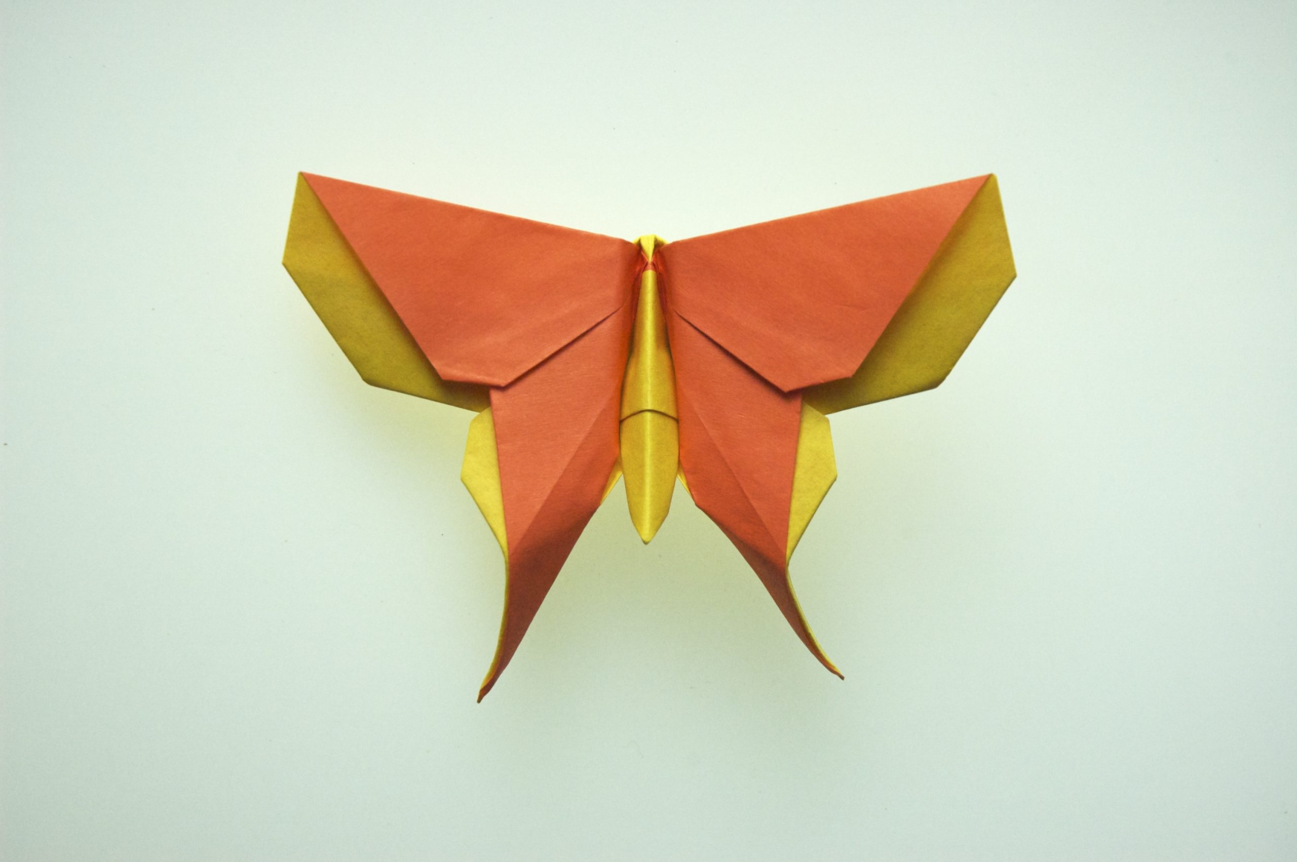 "A Butterfly for Mara Sparks" designed by Michael G. LaFosse