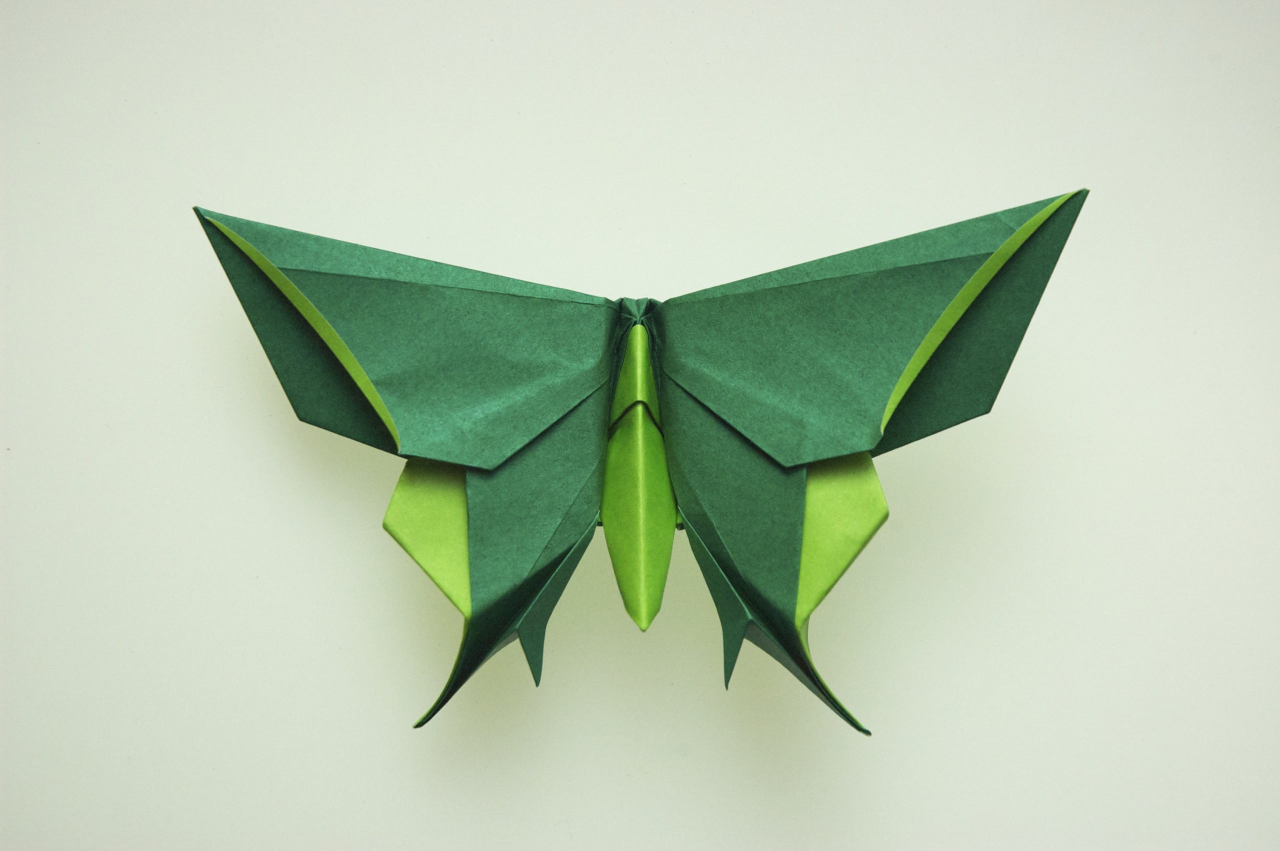 Origami Butterflies Mini Kit – Origamido Studio
