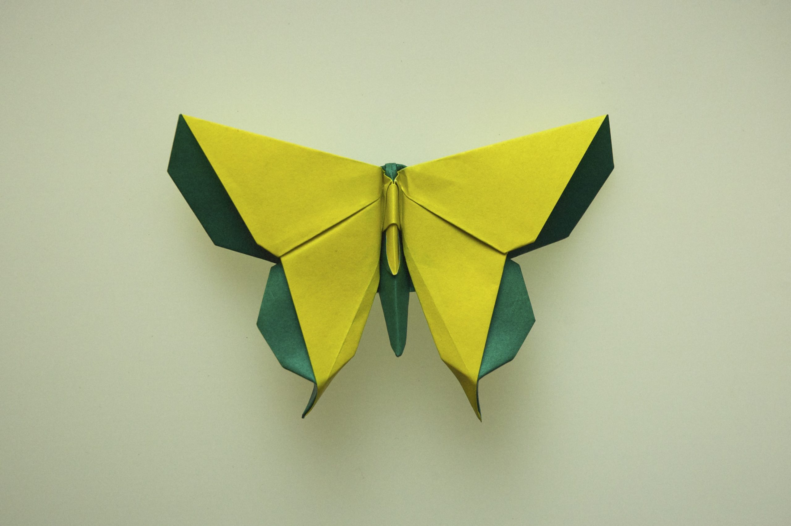 "A Butterfly for Elsa Chen" designed by Michael G. LaFosse