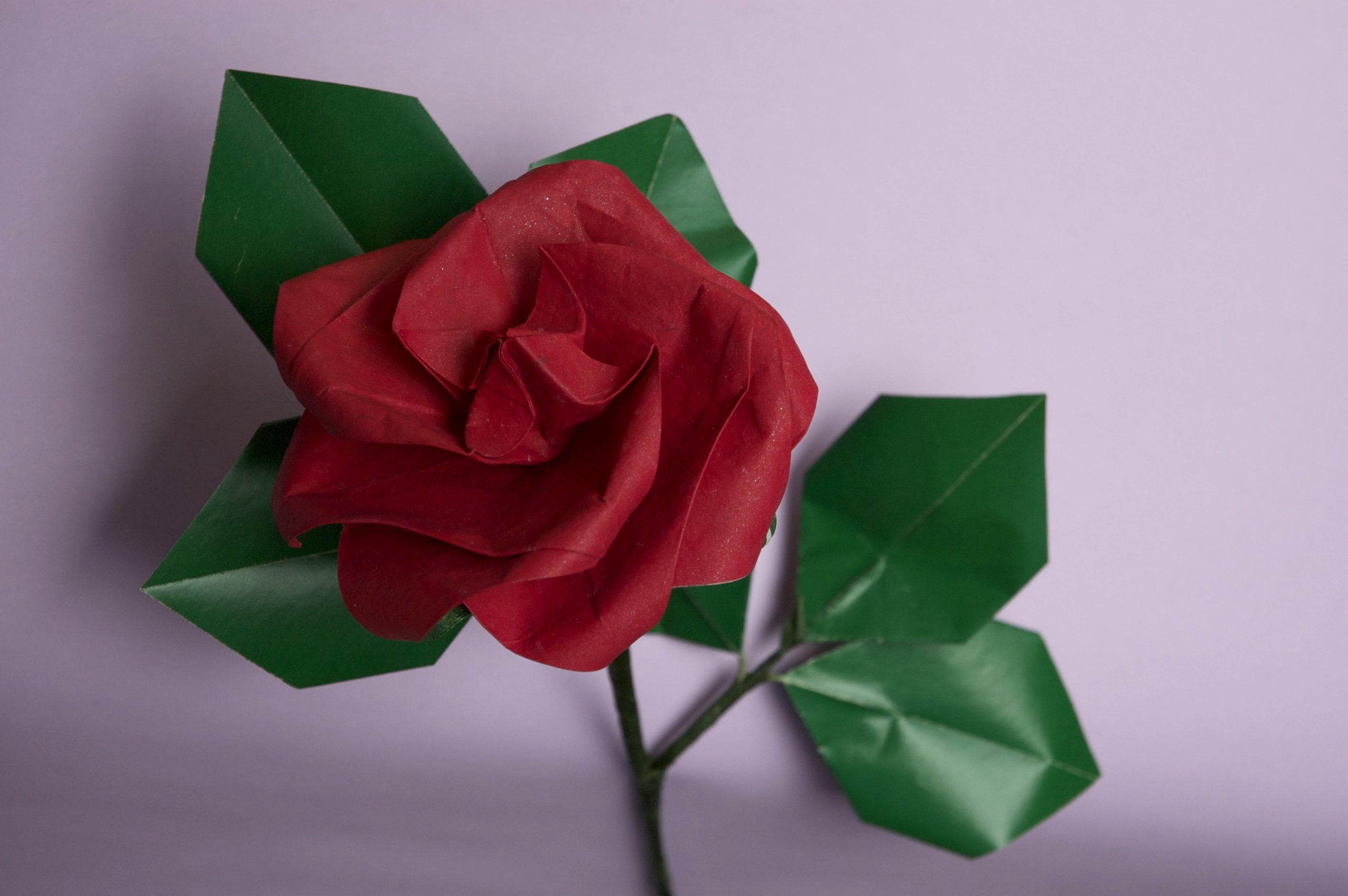 "A Rose for Irene with Leaves" designed by Michael G. LaFosse