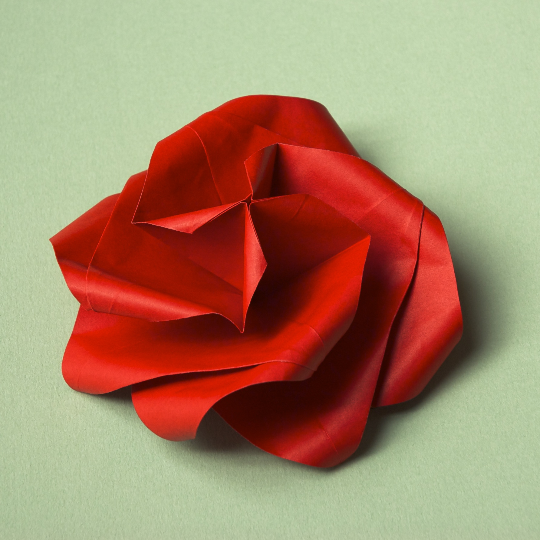 "A Rose for Irene" designed by Michael G. LaFosse