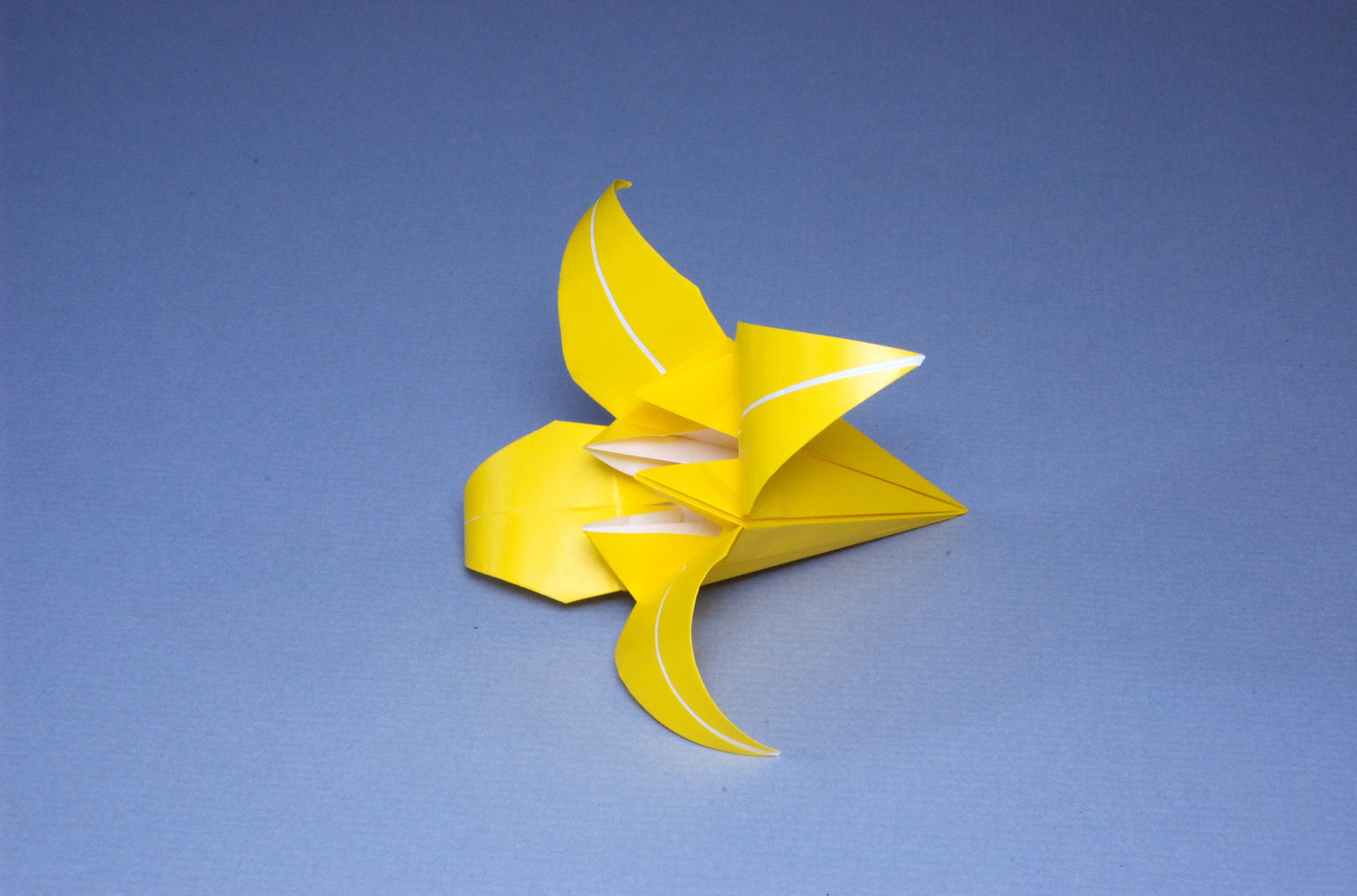 Hanafuda Origami Paper  Japanese American National Museum Store
