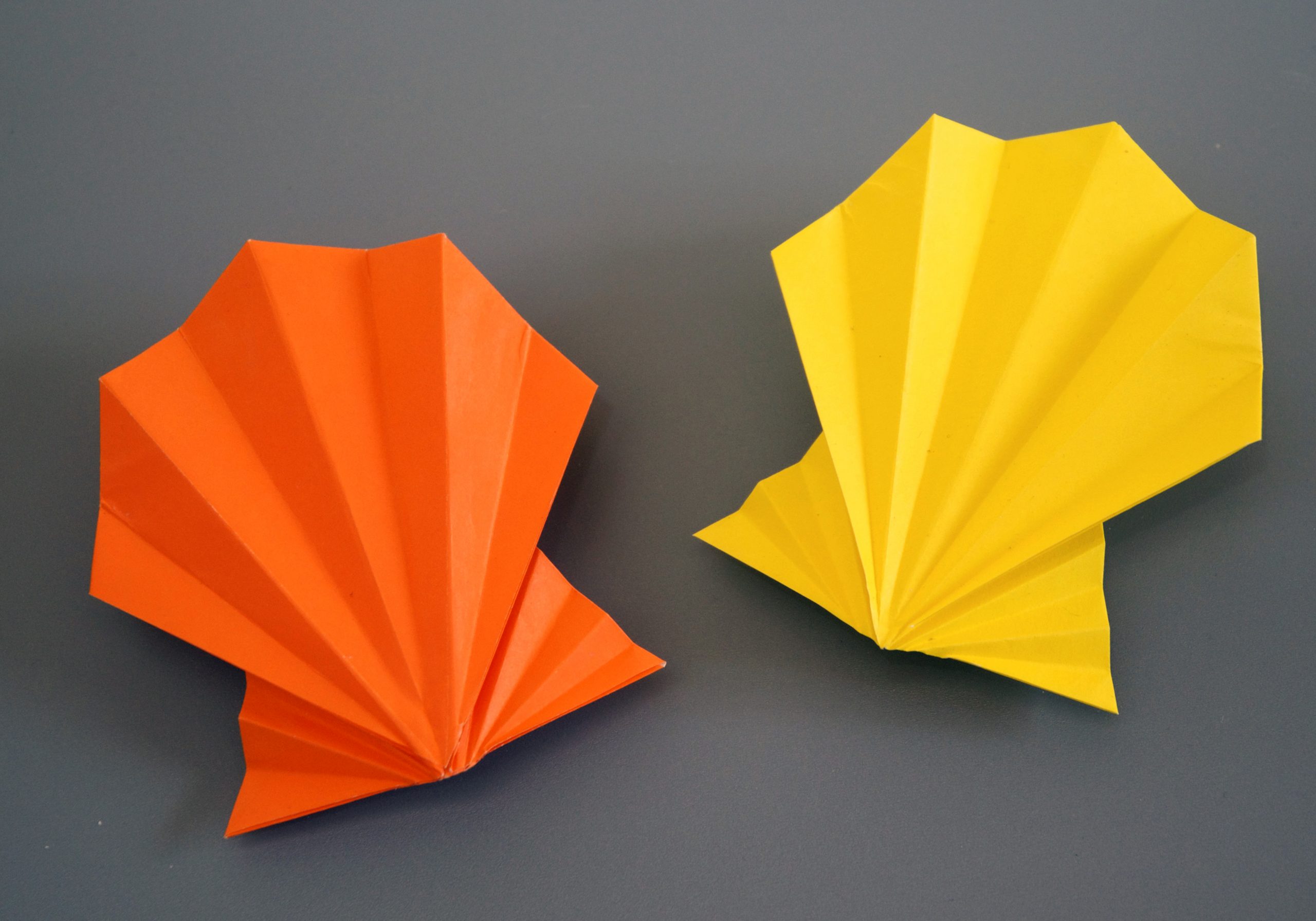 Ultimate Origami for Beginners Origamido Studio